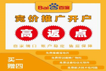电商平台信息流广告的创意与优化：成功案例分析